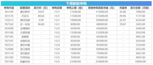 沪市新股申购安排最新，全面解析与投资指南