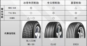 探秘 5.00 轮胎规格，引领健康出行新风尚